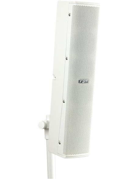 FBT VERTUS CS-1000 WHITE (Coppia) Miglior Prezzo