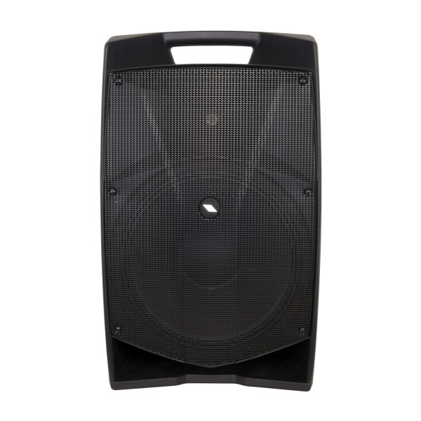 PROEL V15 PLUS (coppia) Miglior Prezzo