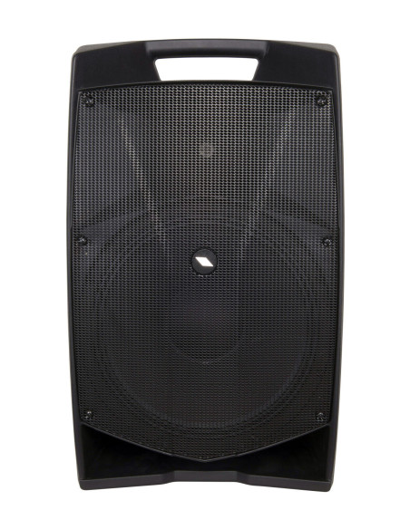 PROEL V15 PLUS (coppia) Miglior Prezzo