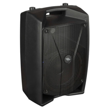 PROEL V10 PRO Miglior Prezzo
