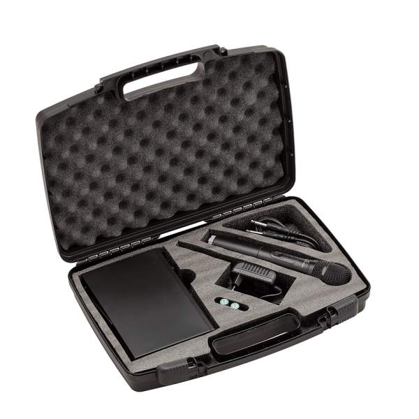SOUNDSATION WF-U11HD - Freq. 865.00 MHz Miglior Prezzo