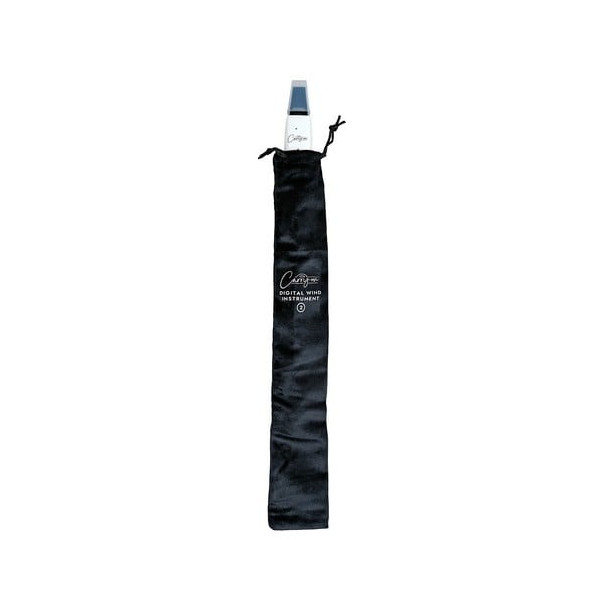 BLACKSTAR CARRY ON DIGITAL WIND INSTRUMENT 2 (White) Miglior