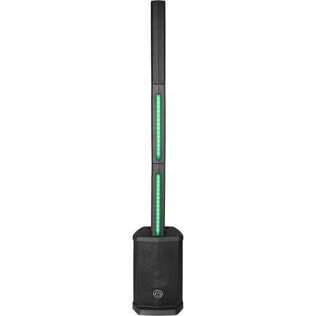 WHARFEDALE PRO IS 48 (coppia) Miglior Prezzo
