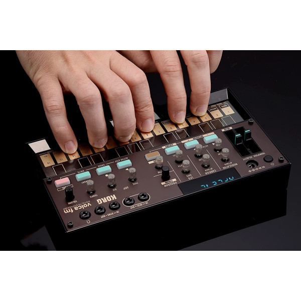 KORG VOLCA FM2 Miglior Prezzo