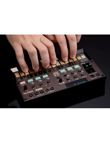 KORG VOLCA FM2 Miglior Prezzo