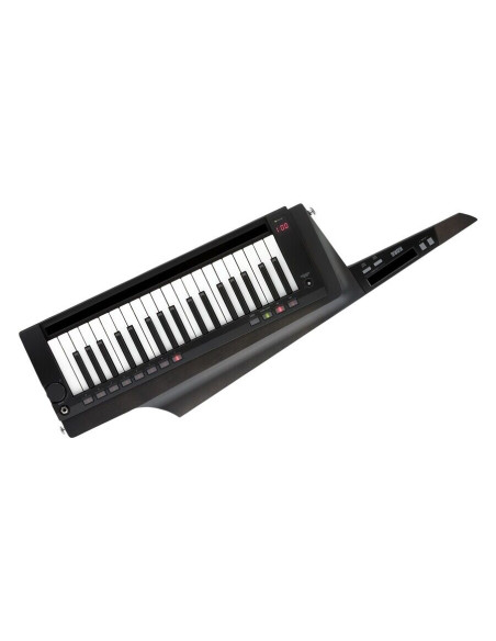 KORG RK-100S2 BLACK Miglior Prezzo