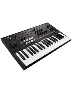 Korg WAVESTATE Miglior Prezzo 2