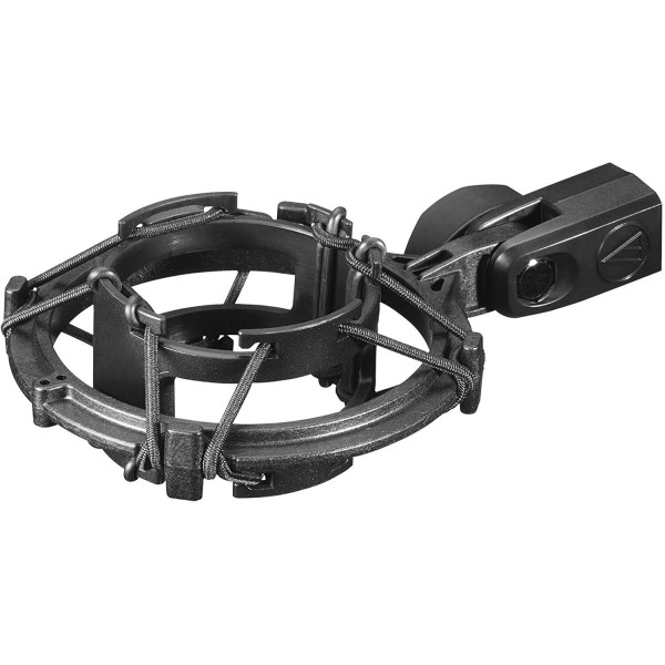 AUDIO TECHNICA AT2020V CROMO Miglior Prezzo