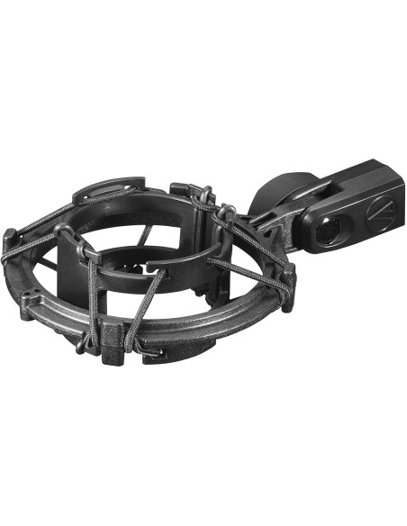 AUDIO TECHNICA AT2020V CROMO Miglior Prezzo