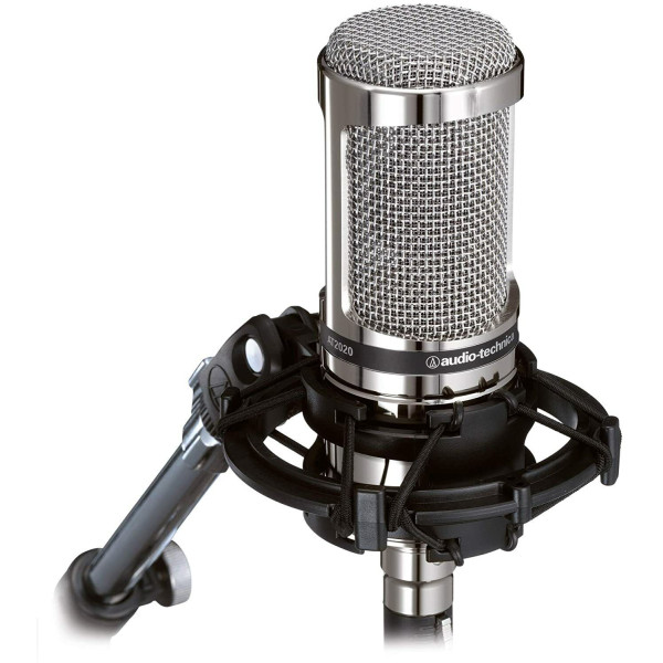 AUDIO TECHNICA AT2020V CROMO Miglior Prezzo