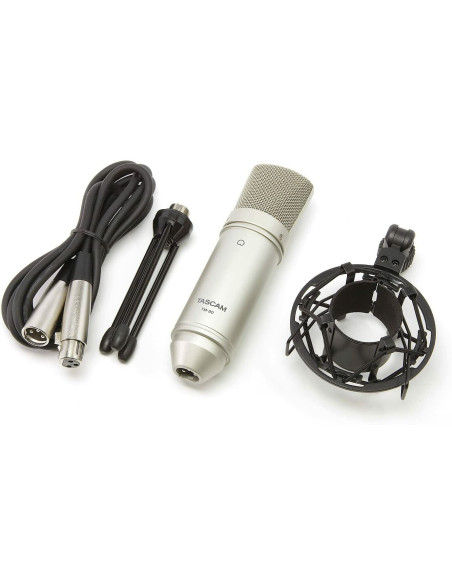 TASCAM TM-80 Miglior Prezzo