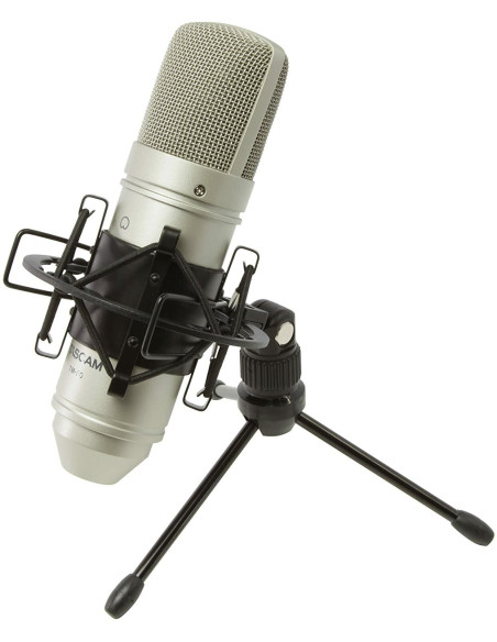 TASCAM TM-80 Miglior Prezzo